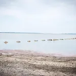 Kuur