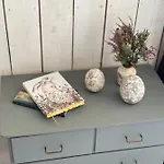 Kuur Kurkse