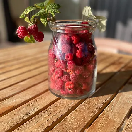 Kuur Ferienhaus Kurkse