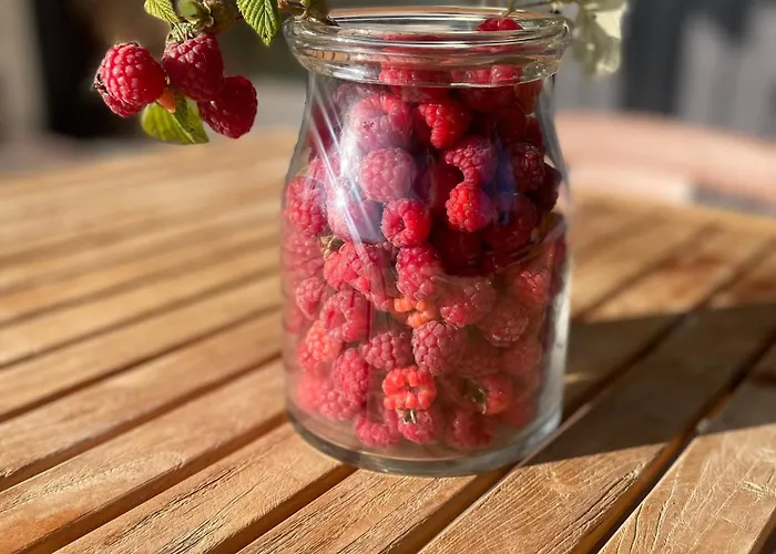 Kuur Ferienhaus Kurkse